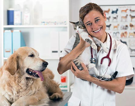 Corsi Universitari - Master Online TFA